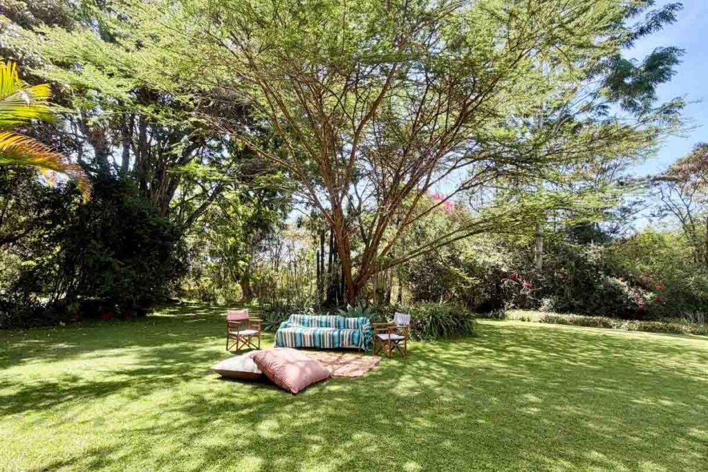 A striped couch and two wooden chairs are arranged under a large tree on a grassy lawn, with two floor cushions in the foreground.